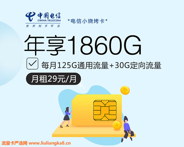 【20年有效】2023年电信流量卡29元155G（小烧烤卡）