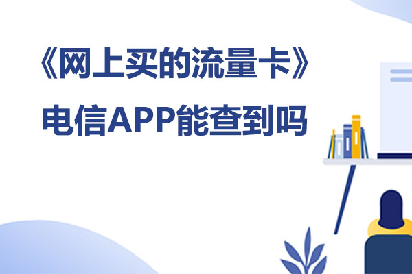 网上买的那种流量卡，电信APP可以查到吗?